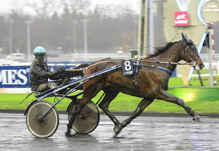 Actualités Hippiques